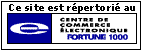 Centre de Commerce &Eacute;lectronique Fortune 1000